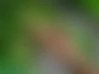 UAQ lanza convocatoria “Agro-Innova Sierra Gorda 2025” para impulsar innovación agroindustrial