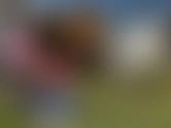 Destina federación 5.6 mdp a refugios para mujeres violentadas en Querétaro