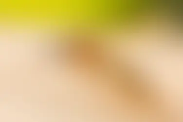 Refuerzan vigilancia y prevención del dengue en Querétaro.