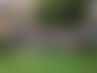 El Marqués consolida su liderazgo nacional en materia de bienestar y protección animal