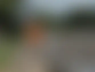 Entregarán apoyos a negocios afectados por lluvias en la Sierra Gorda de Querétaro