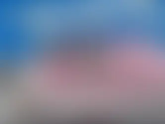 Aseguran iguanas y tortugas por presunta venta irregular en El Marqués