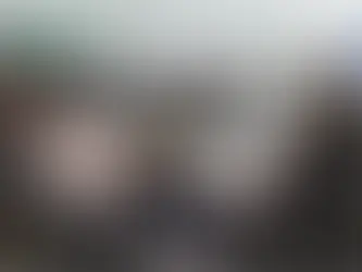 Ley de Bienestar Animal en Querétaro avanza con captura, esterilización y retorno de animales comunitarios