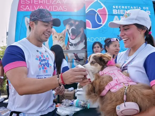 Felifer incorpora tags de geolocalización para animales de compañía en Querétaro