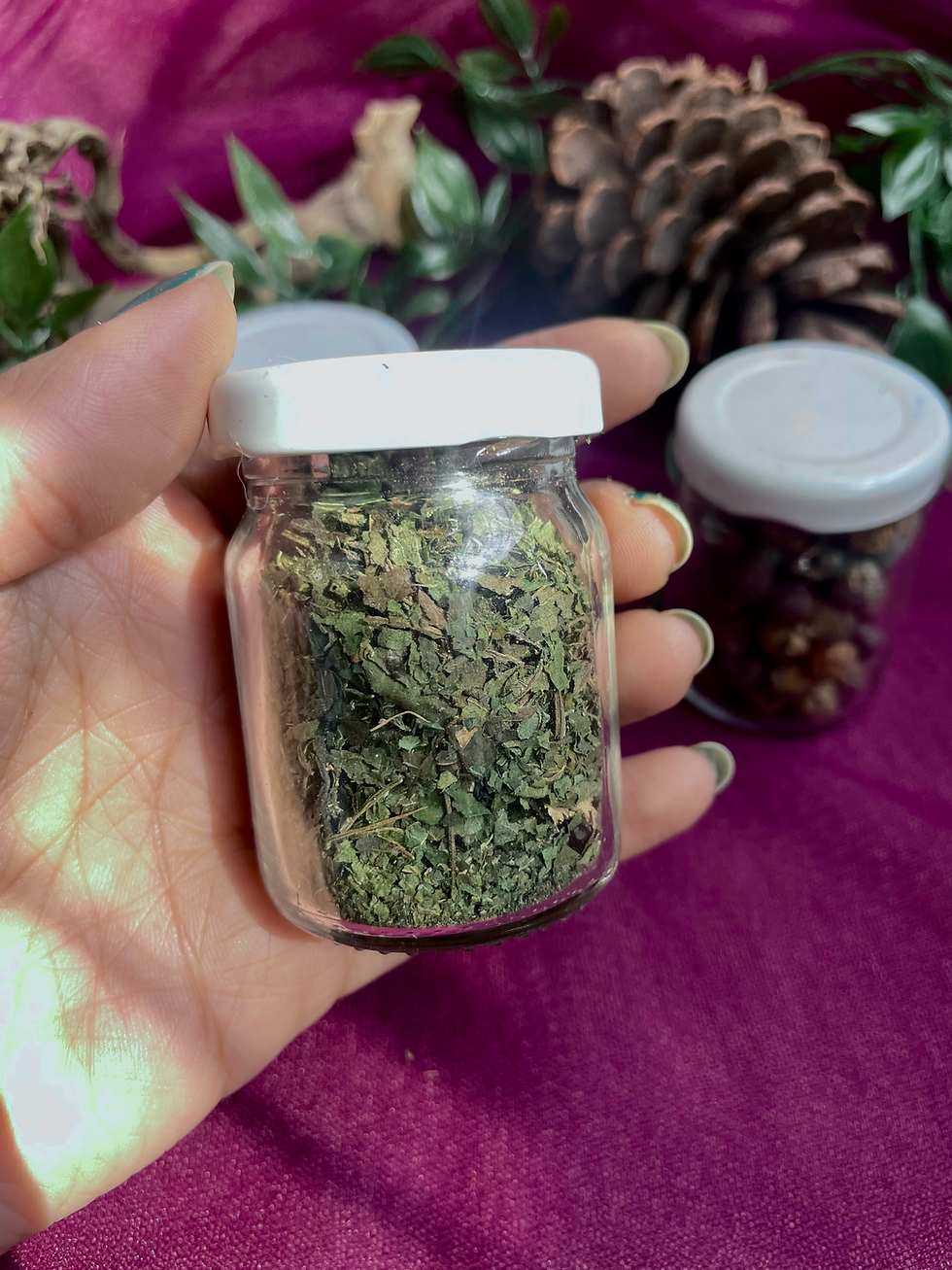 Thumbnail: Protection and Banishing Herb Jar Set (Black Salt, Sage, Nettle, Juniper)