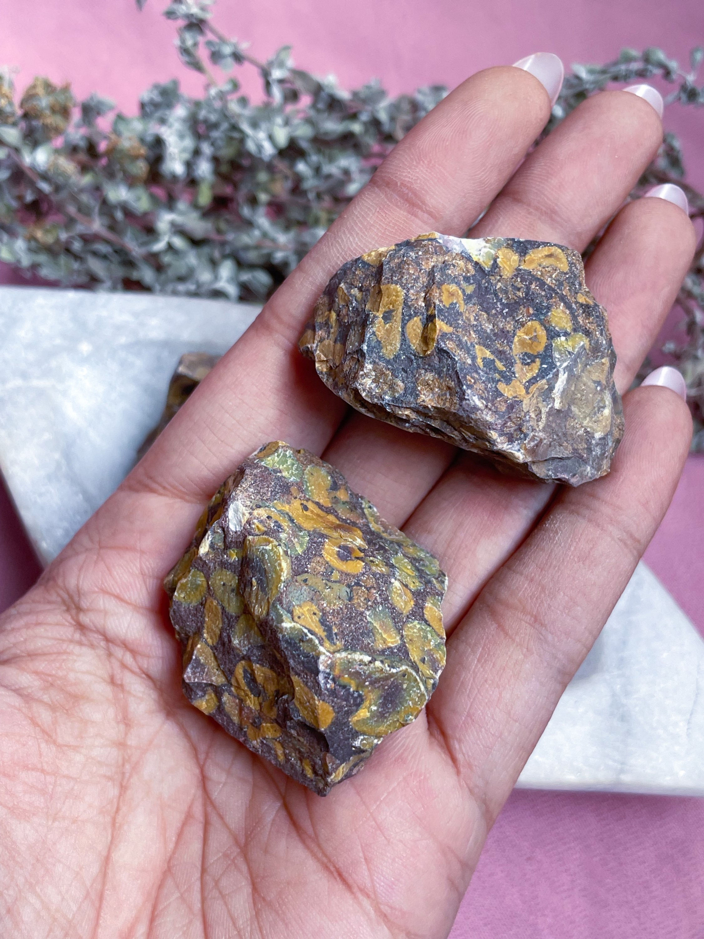 Raw Poppy Jasper (Fun, Vitality, Grounding)