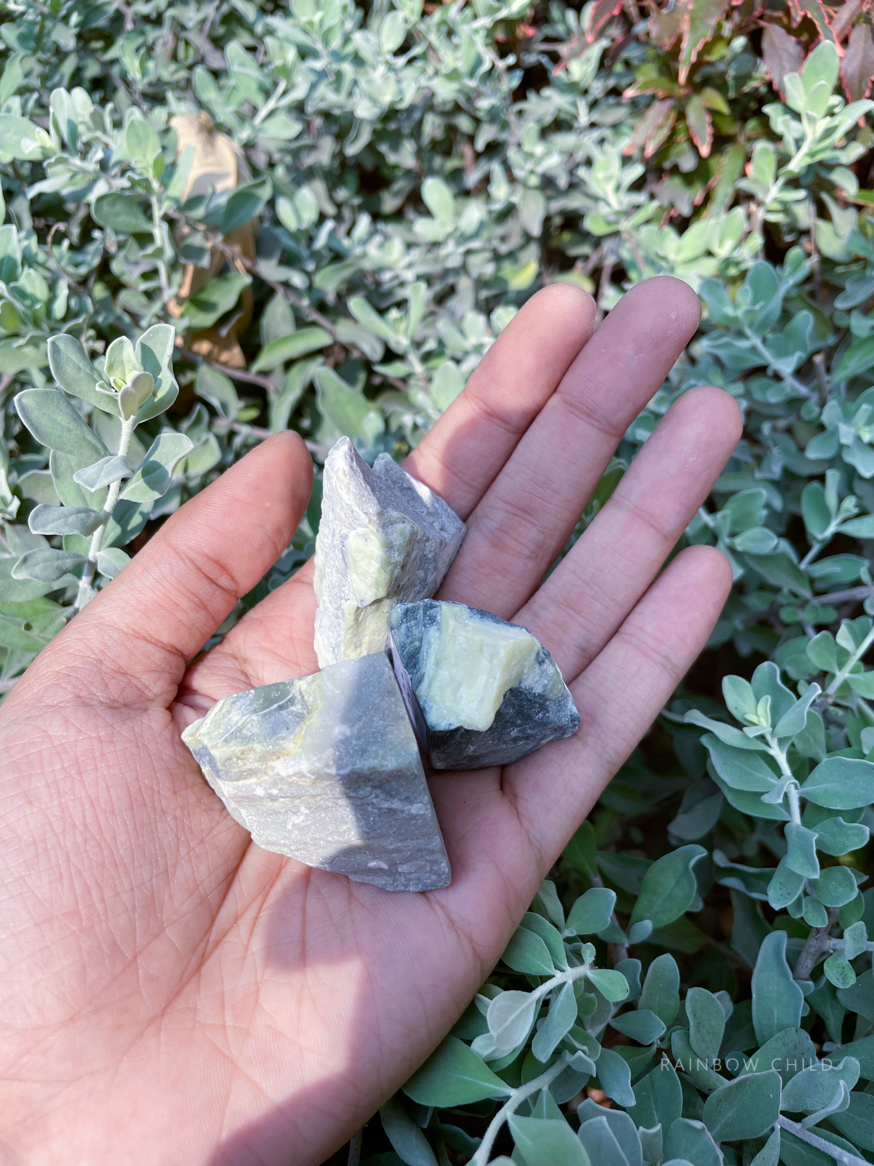 Raw Serpentine (Awakening, Kundalini, Earth Connection)