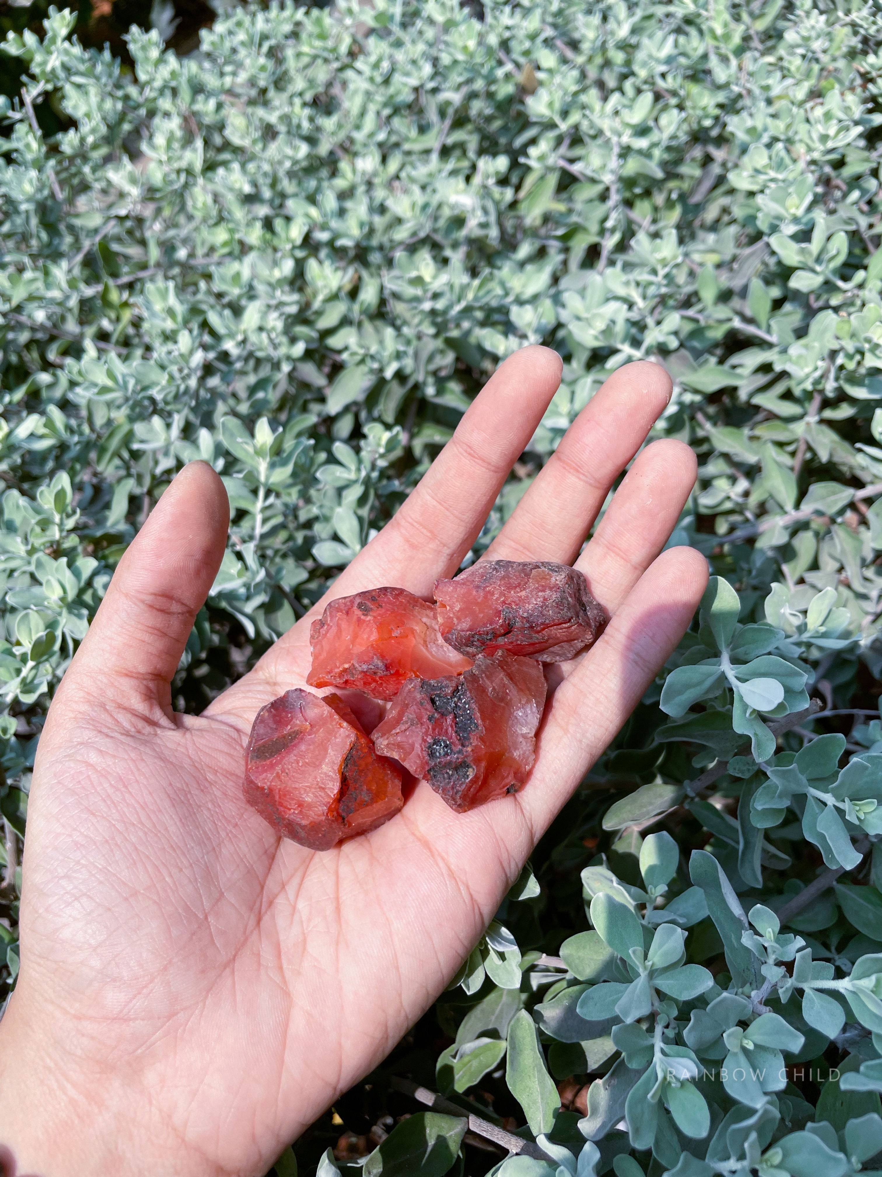 Raw Carnelian (Vitality, Creativity, Femininity)