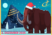 50 km-Mammut-Nikolauslauf.png