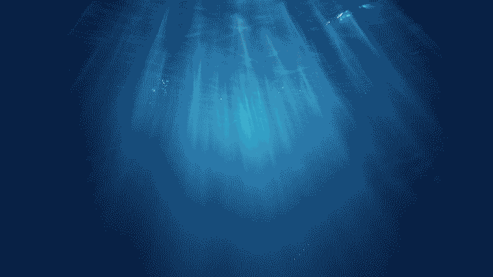 sb_animated_logogif
