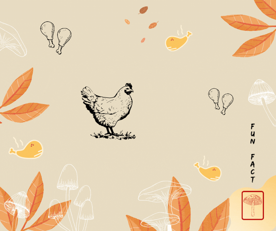 Chickeninthewoods.gif