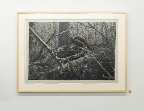 MPC-XOXO-Feral_59(1)