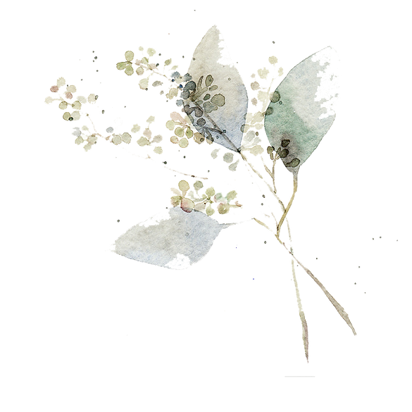 hiclipart.com (3).png