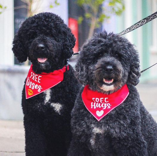 Screenshot 2022-10-05 115715.png