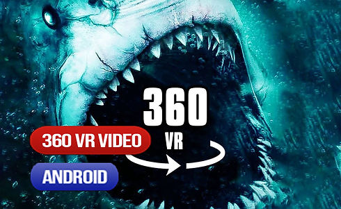 Shark Attack.jpg