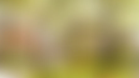 How do you feel about your Community?