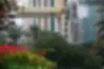 City view of rows of buildings with a glass catwalk between two of them and lots of lush greenery and florals in the foreground