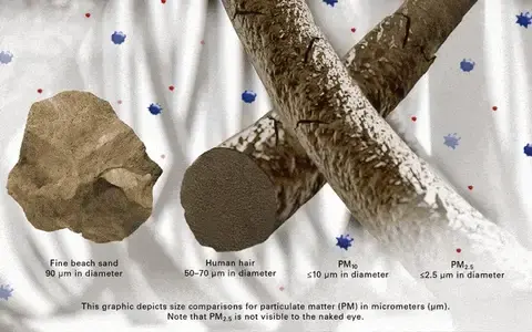 A graphic depiction size comparison for particulate matter (PM) in mircrometers
