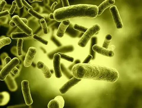 Microscopic view of bacteria molecules tinted with a green filter