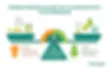 Illustration showing how decreasing the carbon produced by your business, you can balance out the carbon emissions your business creates.