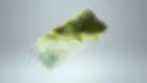 Image of a clear rectangular prism with natural foliage growing from within