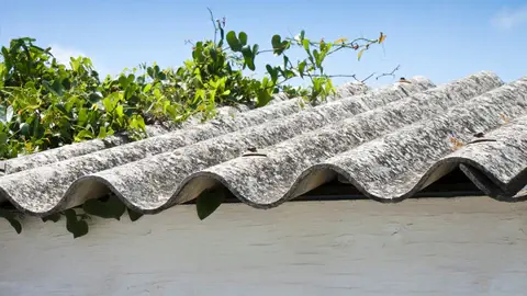 Asbestos filled corrugated roof panel with greenery draped overtop