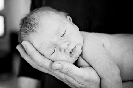 Maternity,  Newborn, First Year Photography