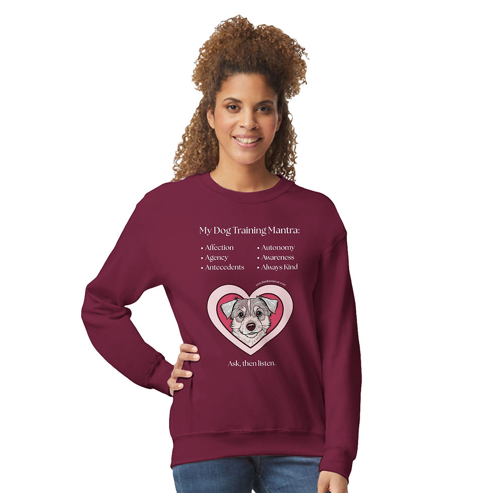 Thumbnail: my dog training mantra sweatshirt