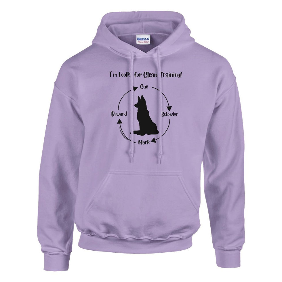 Thumbnail: loopy training hoodie
