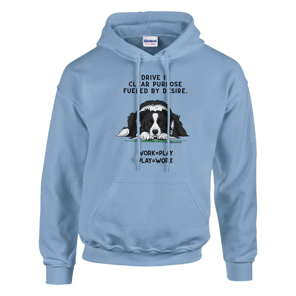 Thumbnail: drive hoodie border collie