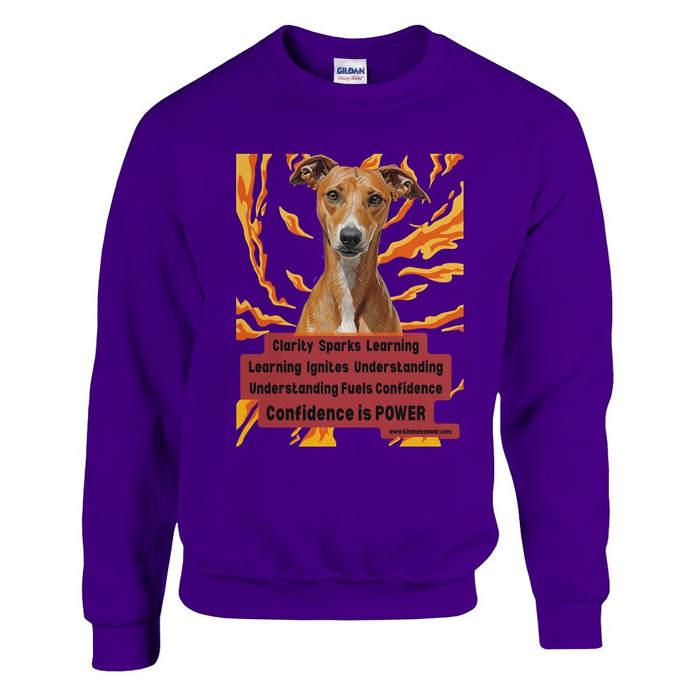 Thumbnail: clarity sparks learning sweatshirt whippet