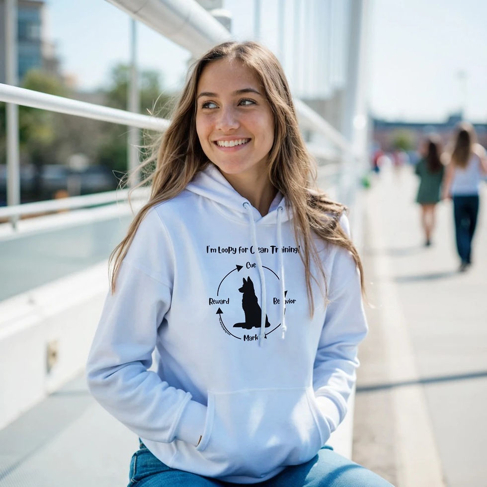 Thumbnail: loopy training hoodie