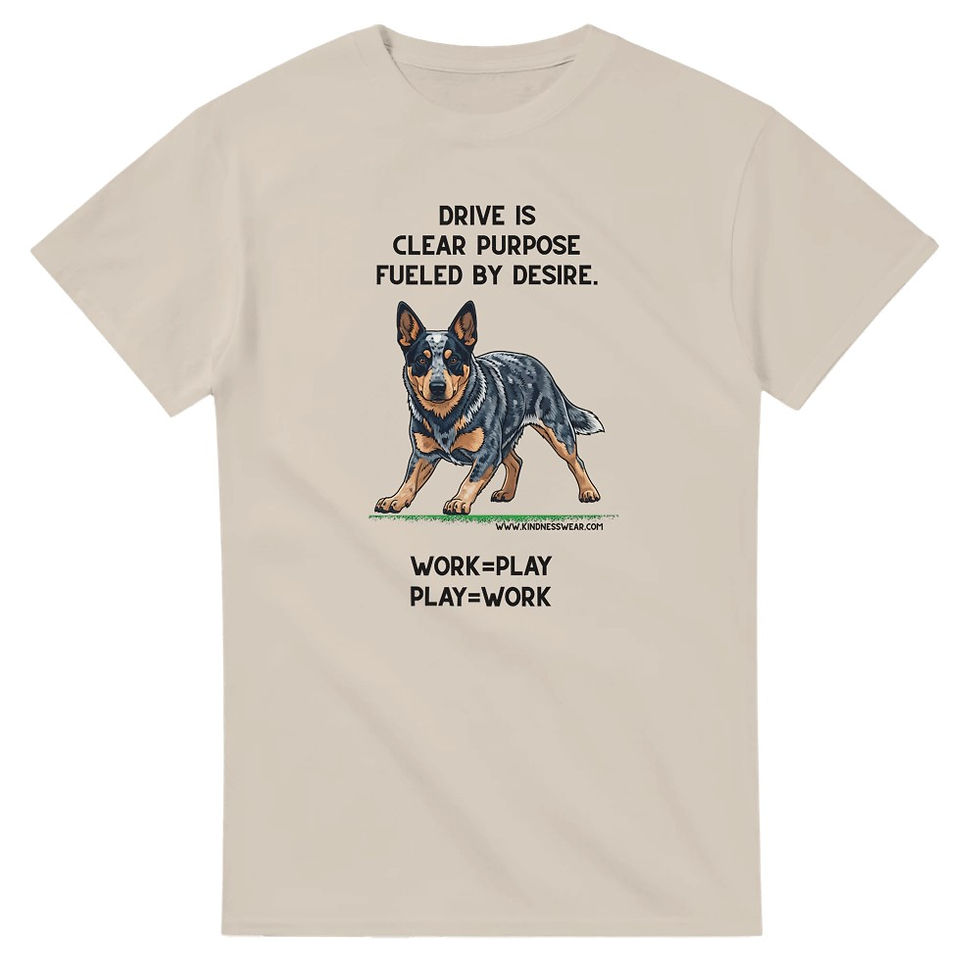 Thumbnail: drive t-shirt australian cattle dog