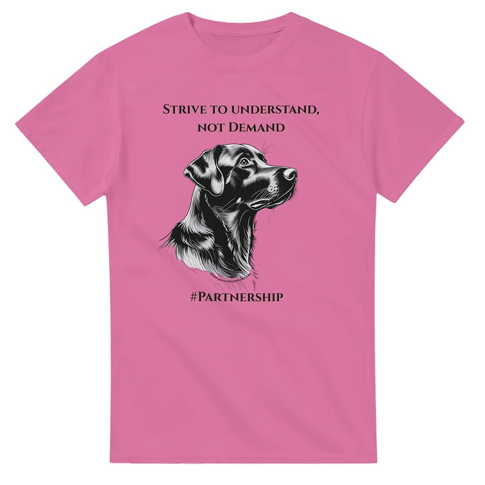 Thumbnail: strive to understand t-shirt