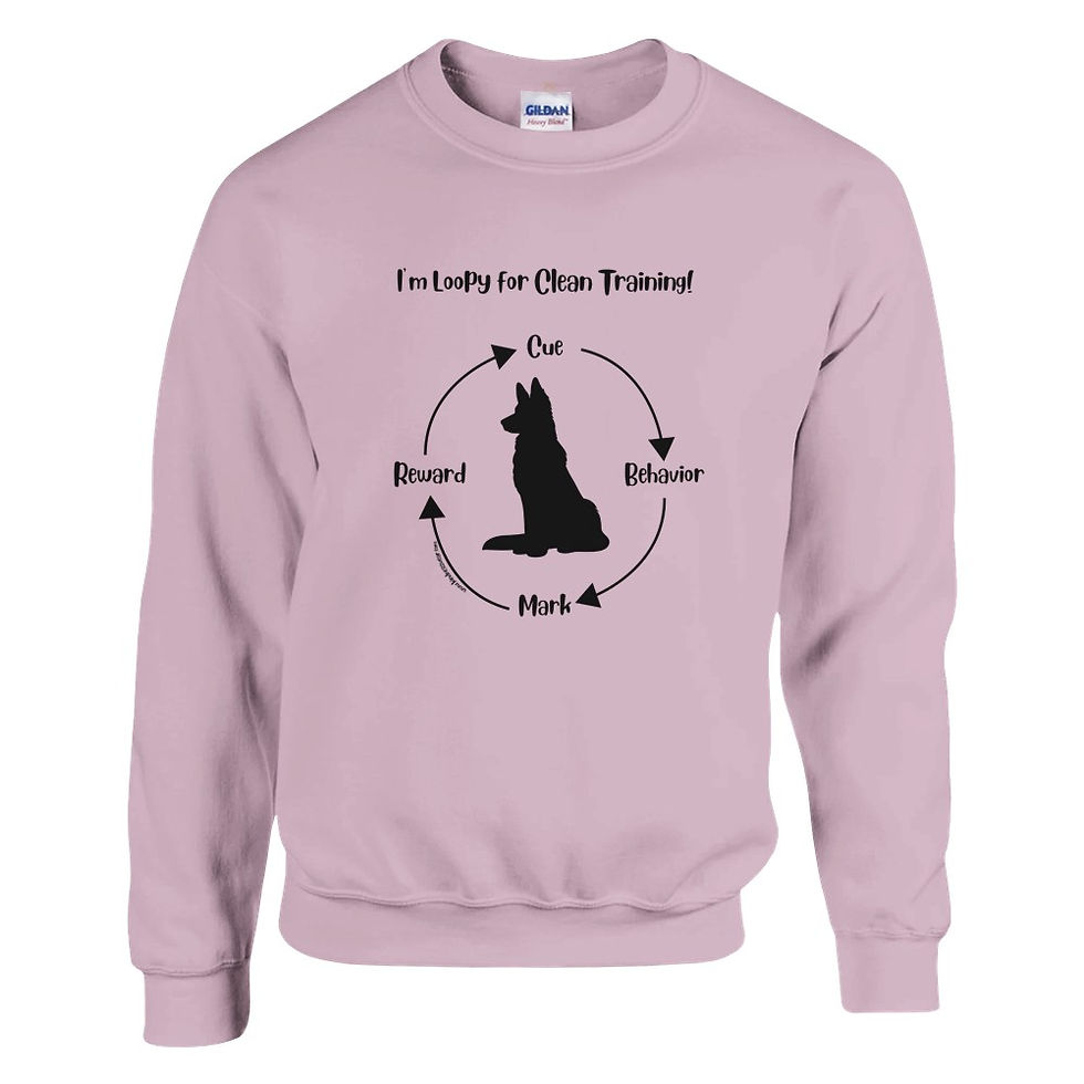Thumbnail: loopy training sweatshirt