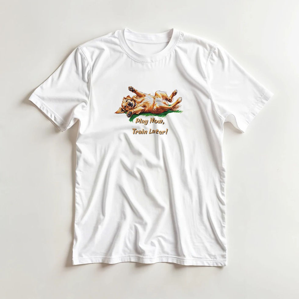 Thumbnail: play now t-shirt