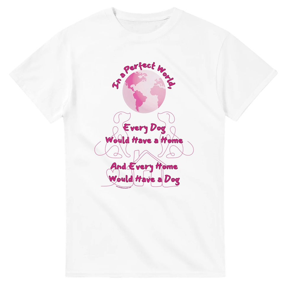 Thumbnail: Perfect World T-Shirt