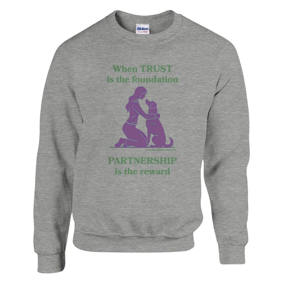 Thumbnail: when trust is the foundation sweatshirt