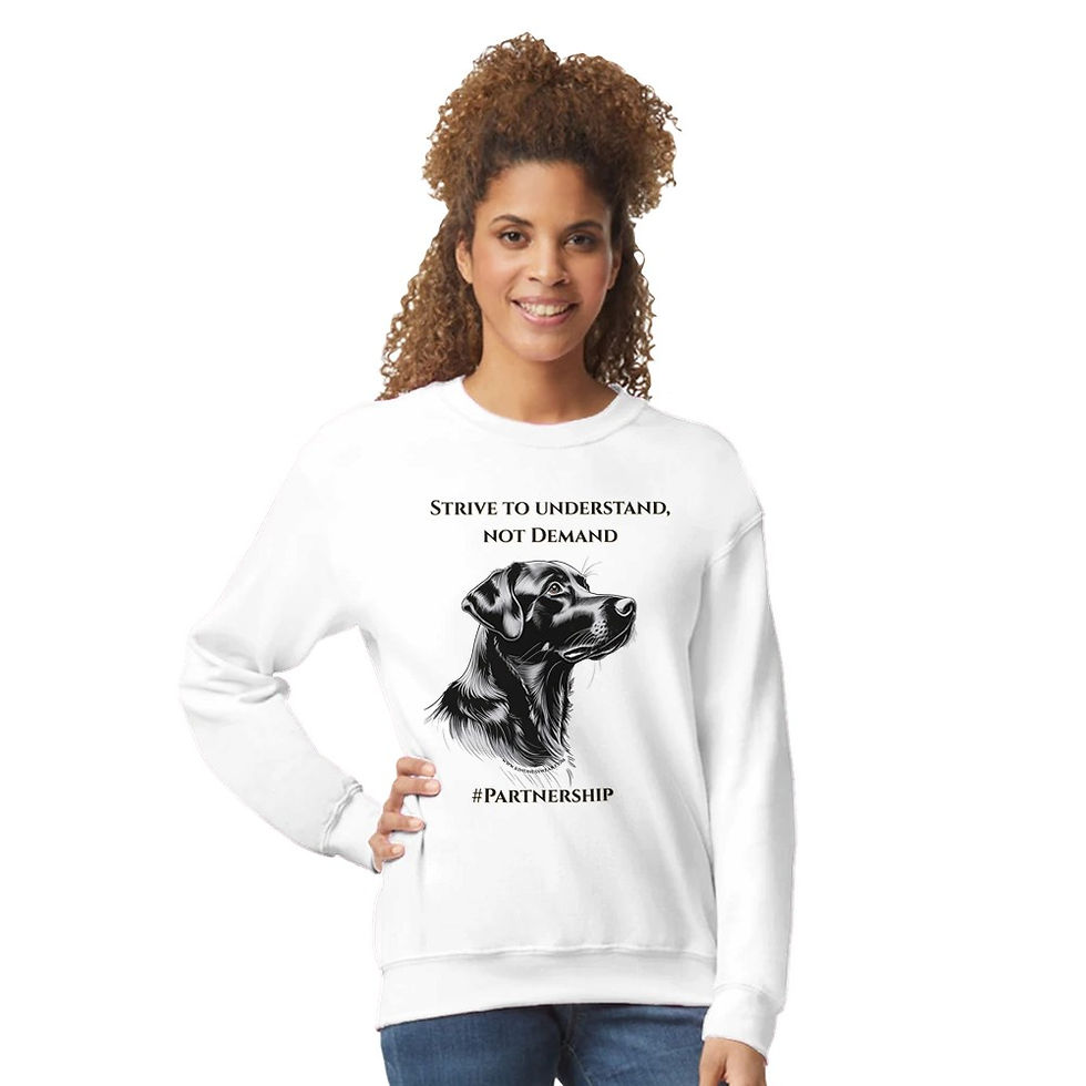 Thumbnail: strive to understand sweatshirt