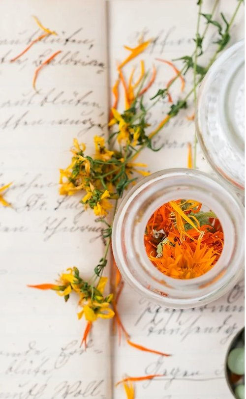 Bloom Out Loud! Handcrafted Immune Support Tea - 12 Tea Bags