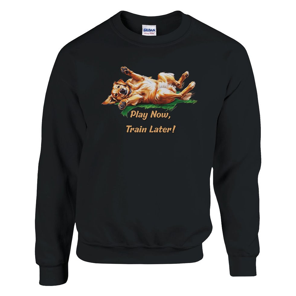 Thumbnail: play now sweatshirt