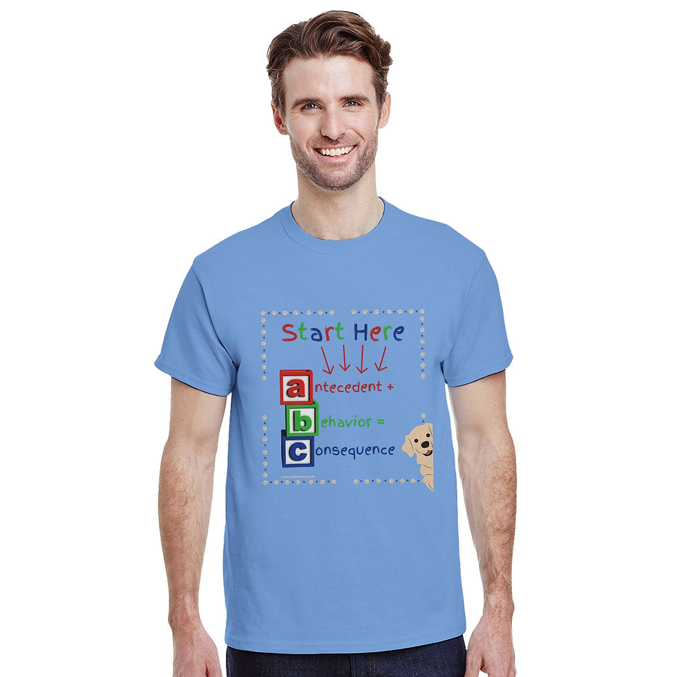 Thumbnail: ABC t-shirt