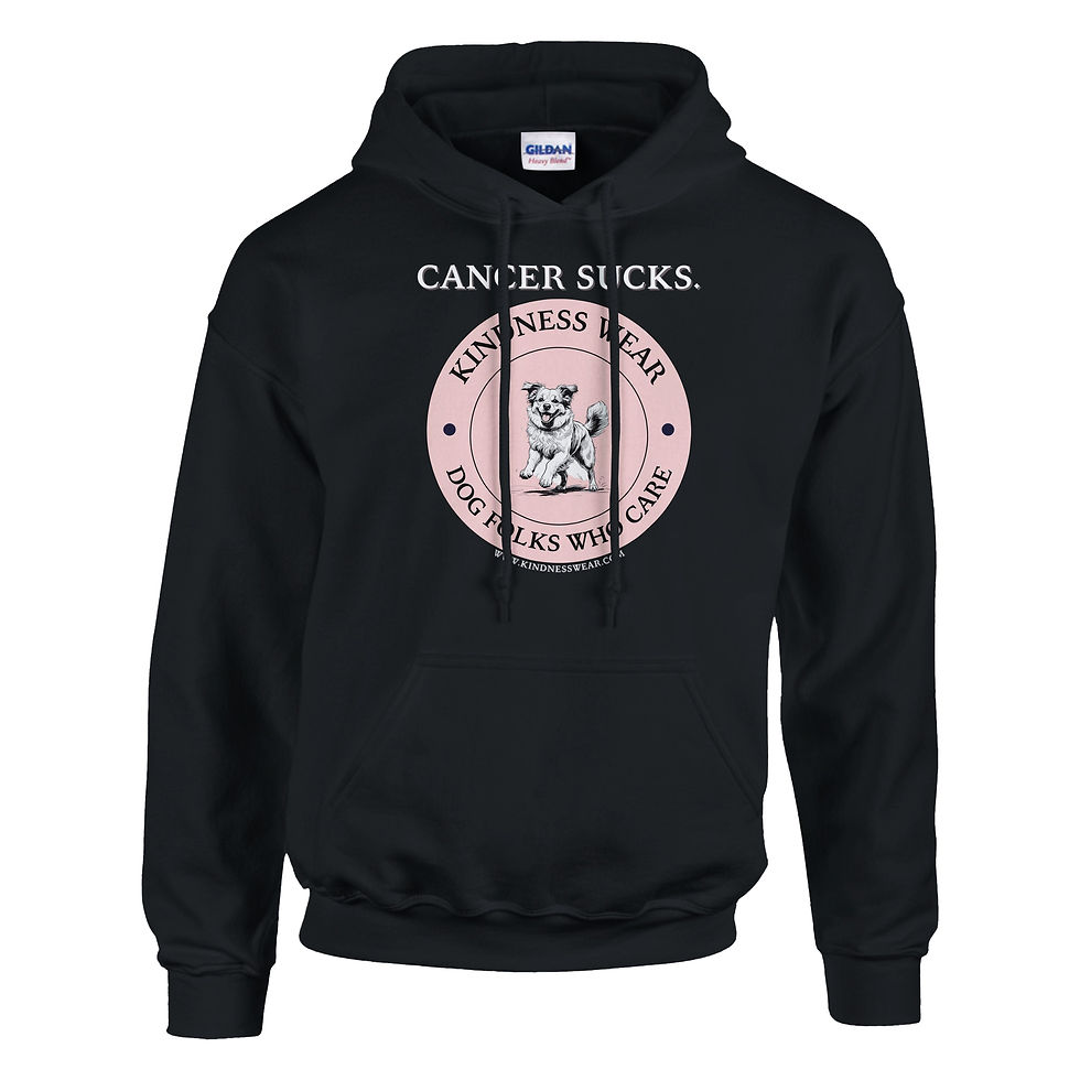 Thumbnail: cancer sucks hoodie