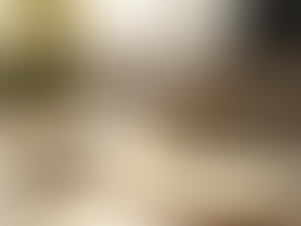 Şirketler Hukukunda Güncellemeler: Vaka Çalışmaları ve Bilgiler