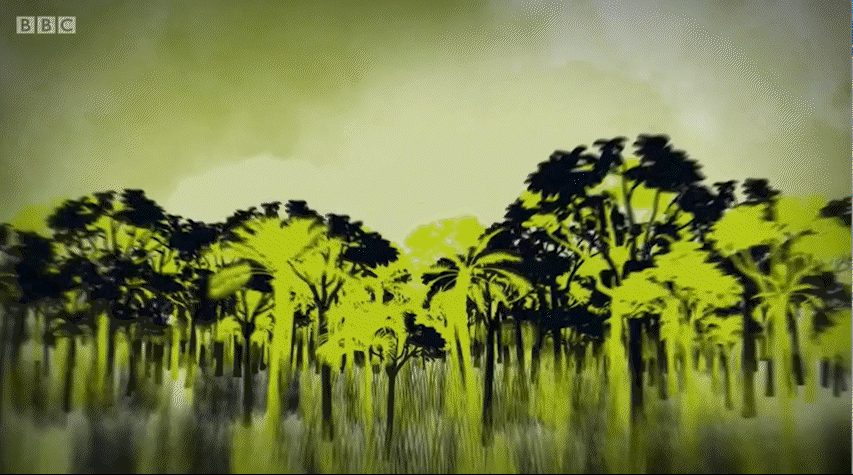 BBC Lost Land Of the Jaguar
