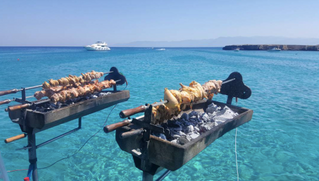 Καλοκαίρι στην Κύπρο: Οι 5 κύριες καταστάσεις που ζήσαμε (και) φέτος όλοι!