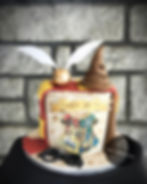 GATEAU HARRY POTTER MODELE 3