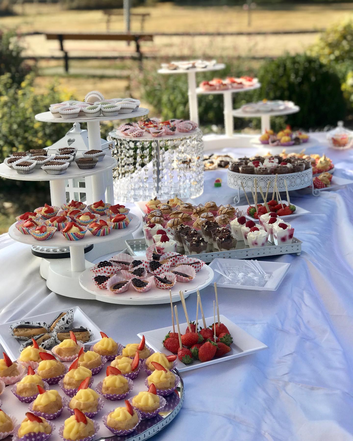 Arranged Food and Objects