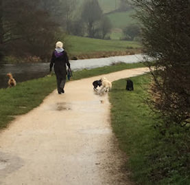 Person walking two dogs on a wet path by a river