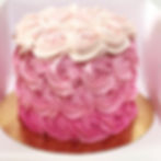 ROSECAKE ROSE DEGRADE